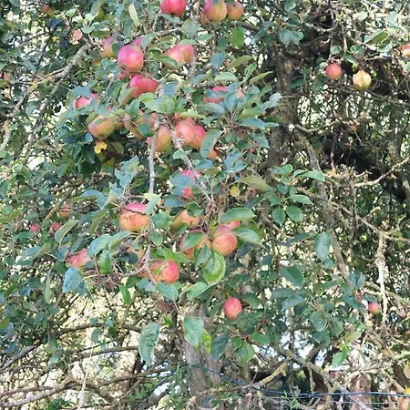 Appartamento Ferienwohnung