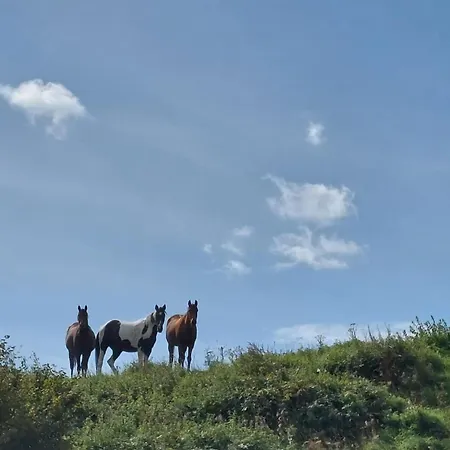 Apartment Ferienwohnung Malente