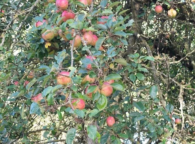 Apartamento Ferienwohnung