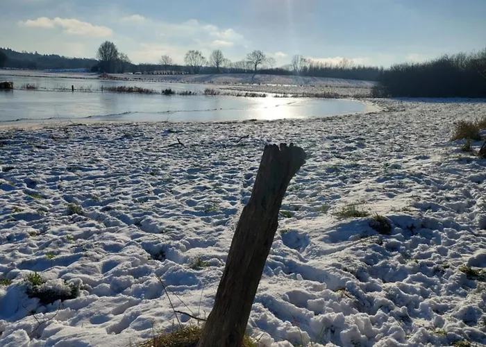 Ferienwohnung Apartamento Malente