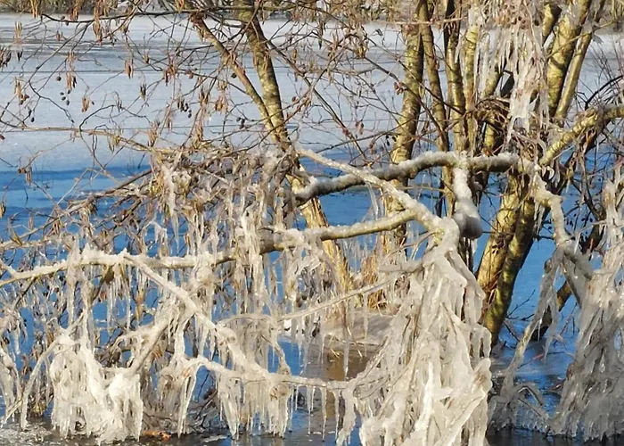 Ferienwohnung Malente