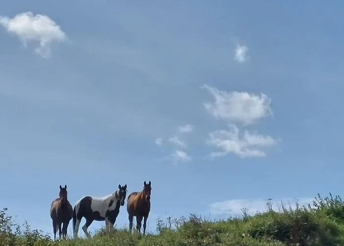 Apartamento Ferienwohnung Malente